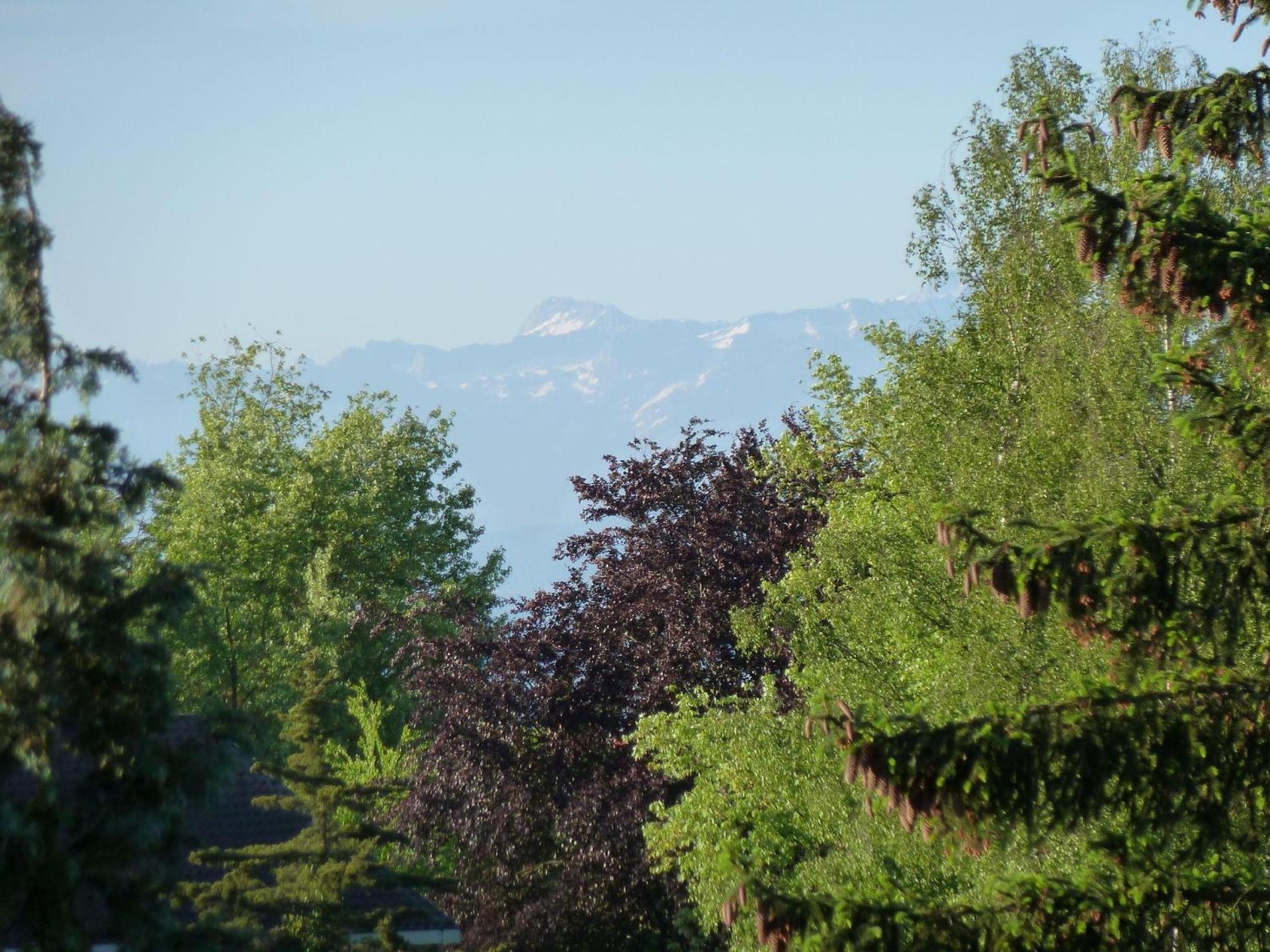Silvaner-Laube Silvanerlaube B Meersburg Zewnętrze zdjęcie